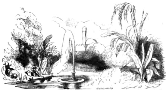 Don Chisciotte (Gamba-Ambrosoli) Vol.1-0469