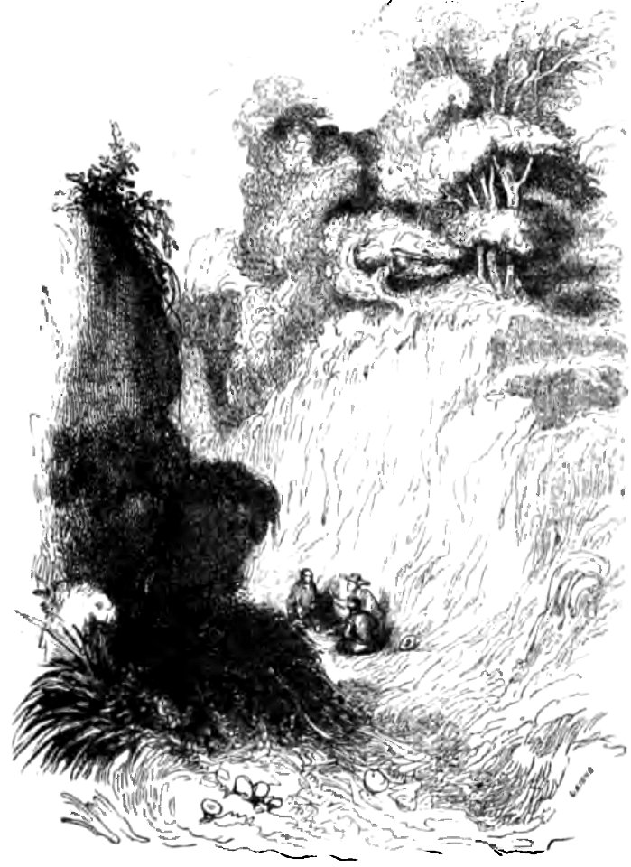 Don Chisciotte (Gamba-Ambrosoli) Vol.1-0554