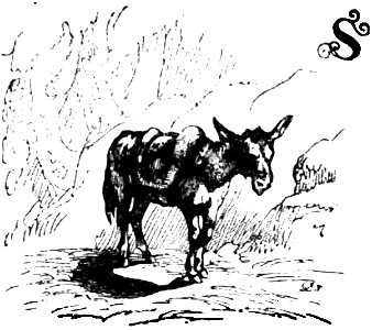 Don Chisciotte (Gamba-Ambrosoli) Vol.1-0048b