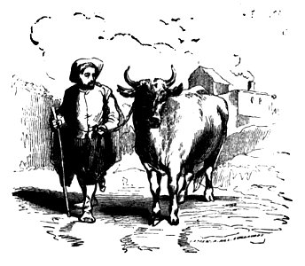 Don Chisciotte (Gamba-Ambrosoli) Vol.1-0053