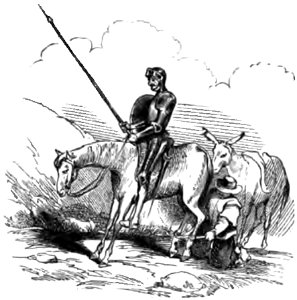 Don Chisciotte (Gamba-Ambrosoli) Vol.1-0192