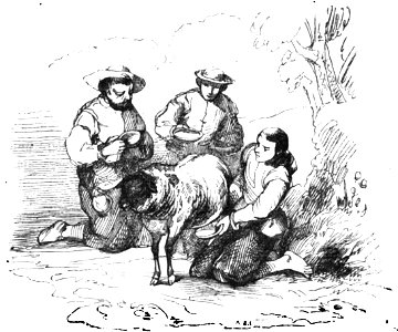 Don Chisciotte (Gamba-Ambrosoli) Vol.2-0156a