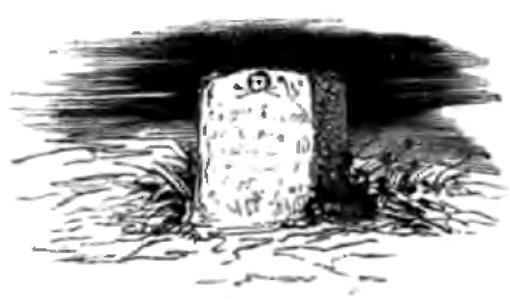 Don Chisciotte (Gamba-Ambrosoli) Vol.1-0141