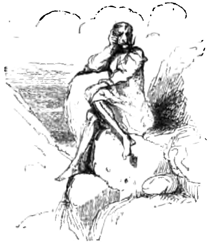 Don Chisciotte (Gamba-Ambrosoli) Vol.1-0274