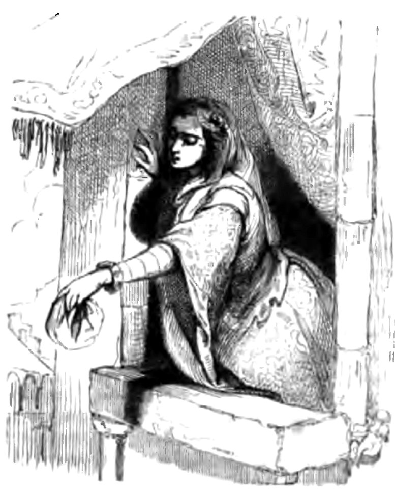 Don Chisciotte (Gamba-Ambrosoli) Vol.1-0287
