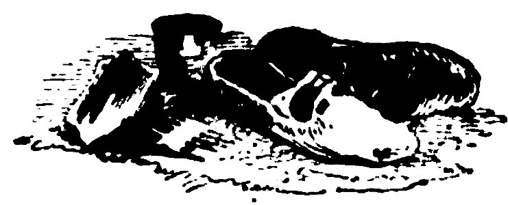 Don Chisciotte (Gamba-Ambrosoli) Vol.1-0195