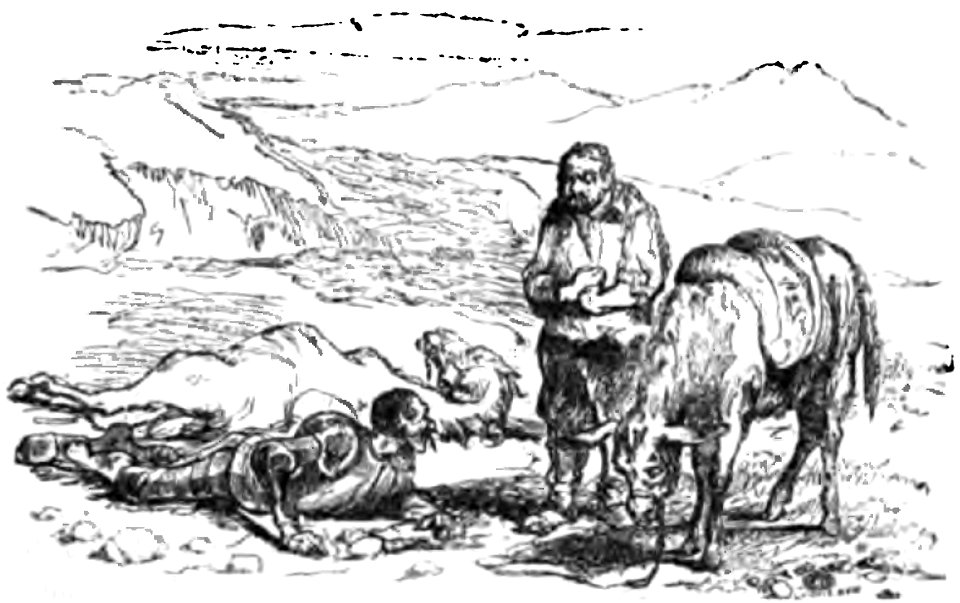 Don Chisciotte (Gamba-Ambrosoli) Vol.1-0229