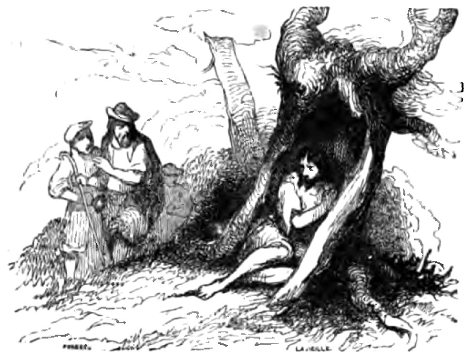 Don Chisciotte (Gamba-Ambrosoli) Vol.1-0240