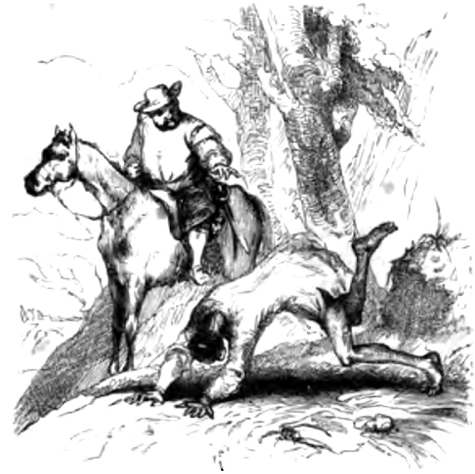 Don Chisciotte (Gamba-Ambrosoli) Vol.1-0269