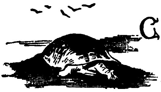 Don Chisciotte (Gamba-Ambrosoli) Vol.2 (page 485 capolettera)