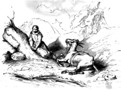 Don Chisciotte (Gamba-Ambrosoli) Vol.1-0293