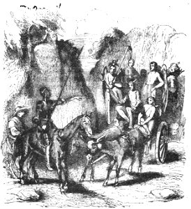 Don Chisciotte (Gamba-Ambrosoli) Vol.2-0108