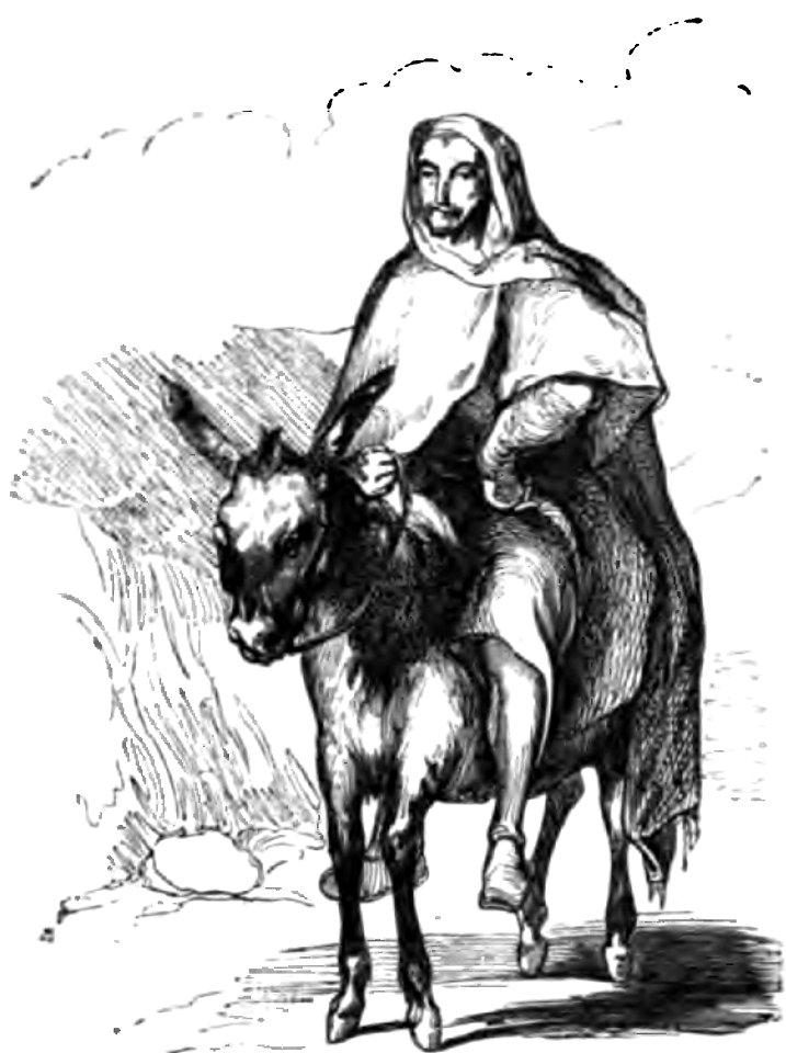 Don Chisciotte (Gamba-Ambrosoli) Vol.1-0336
