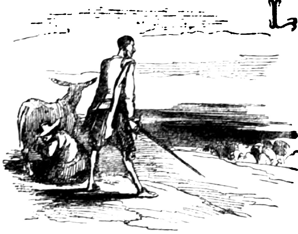 Don Chisciotte (Gamba-Ambrosoli) Vol.2-0610b