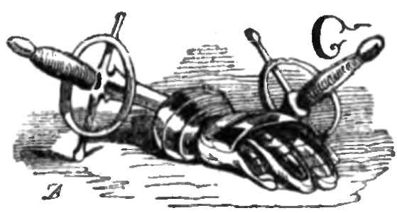Don Chisciotte (Gamba-Ambrosoli) Vol.2 (page 478 capolettera)