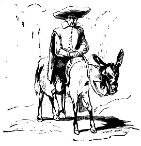 Don Chisciotte (Gamba-Ambrosoli) Vol.2-0209
