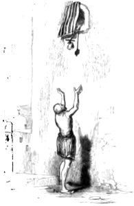 Don Chisciotte (Gamba-Ambrosoli) Vol.1-0453
