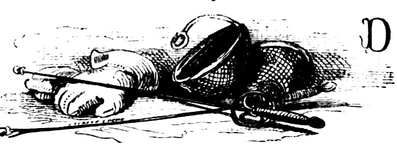 Don Chisciotte (Gamba-Ambrosoli) Vol.2-0178b