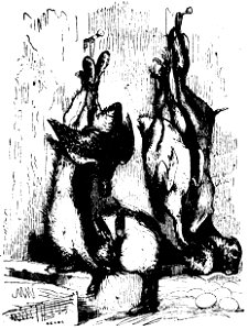 Don Chisciotte (Gamba-Ambrosoli) Vol.2-0189