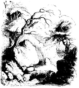 Don Chisciotte (Gamba-Ambrosoli) Vol.2-0212
