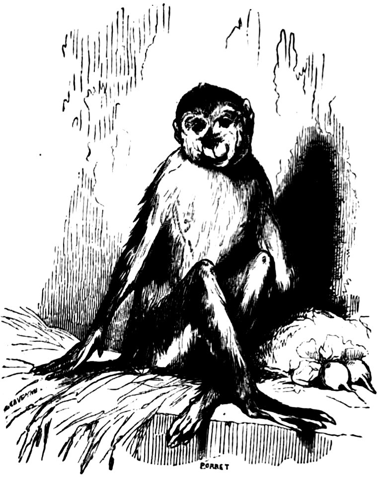 Don Chisciotte (Gamba-Ambrosoli) Vol.2-0246