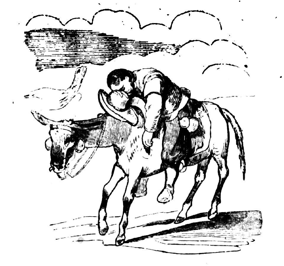 Don Chisciotte (Gamba-Ambrosoli) Vol.2-0271b