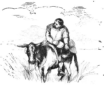Don Chisciotte (Gamba-Ambrosoli) Vol.2-0158