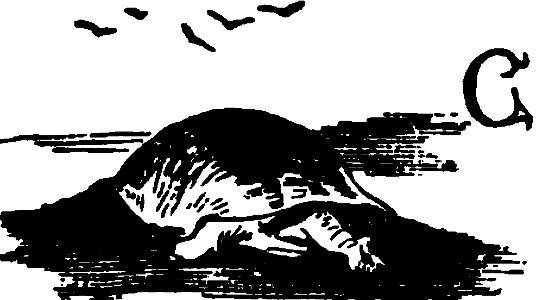 Don Chisciotte (Gamba-Ambrosoli) Vol.2-0485b