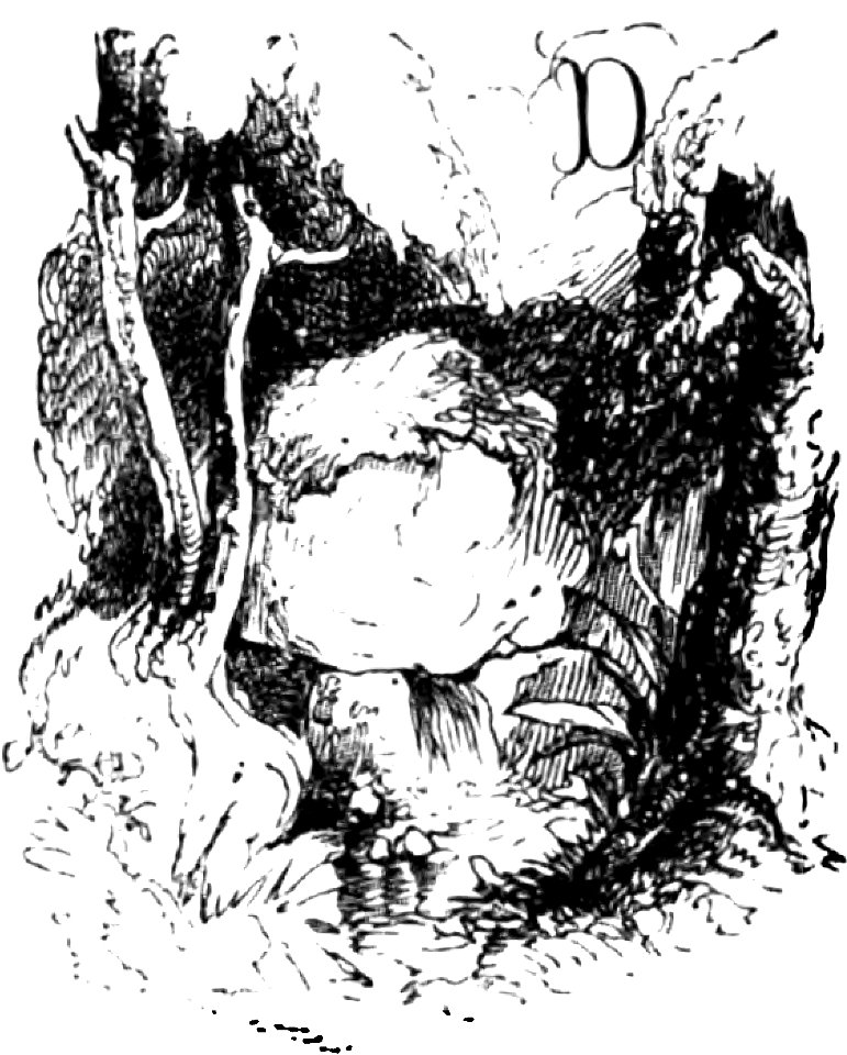 Don Chisciotte (Gamba-Ambrosoli) Vol.2-0535b