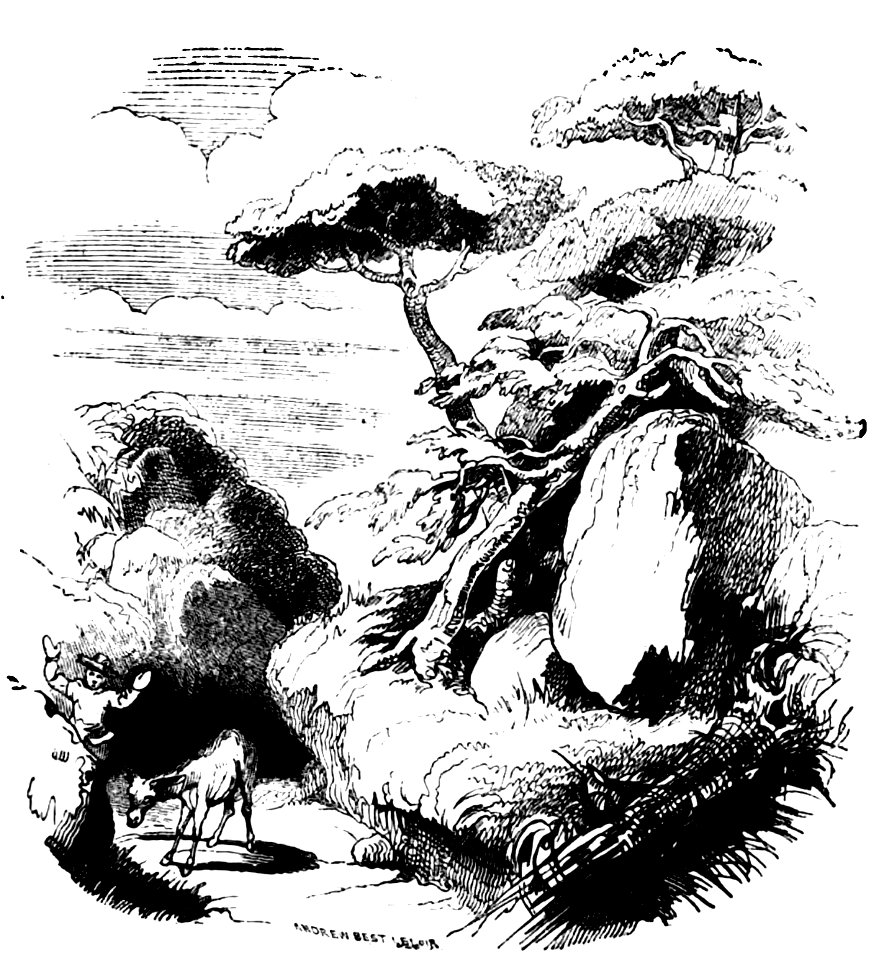 Don Chisciotte (Gamba-Ambrosoli) Vol.2-0241