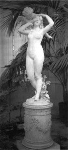 Donato Barcaglia, Liebe macht blind, nach 1925