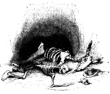 Don Chisciotte (Gamba-Ambrosoli) Vol.2-0504