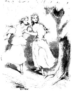 Don Chisciotte (Gamba-Ambrosoli) Vol.2-0530
