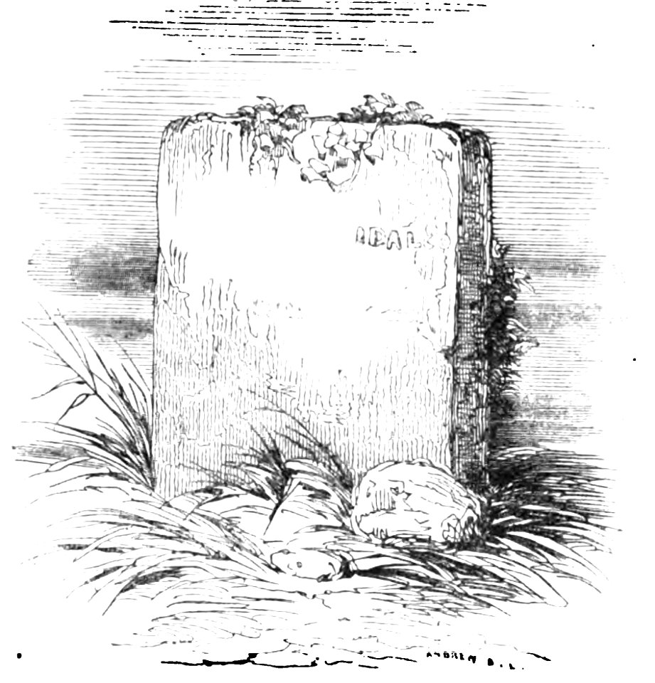 Don Chisciotte (Gamba-Ambrosoli) Vol.2-0658