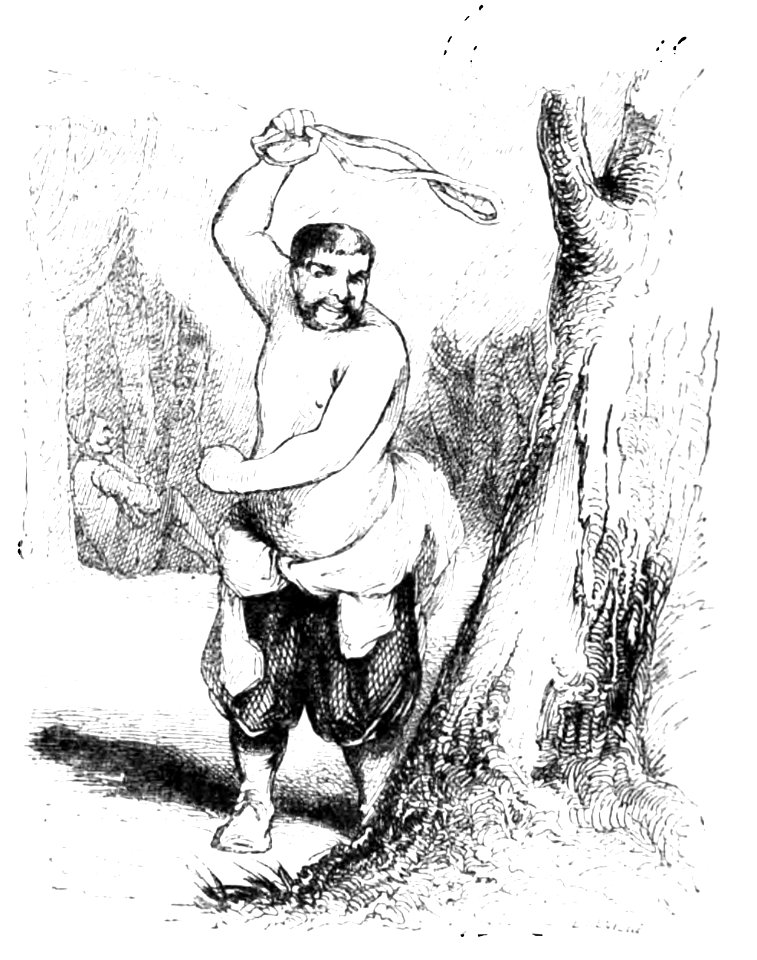 Don Chisciotte (Gamba-Ambrosoli) Vol.2-0634