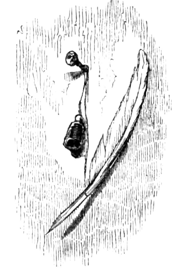 Don Chisciotte (Gamba-Ambrosoli) Vol.2-0659