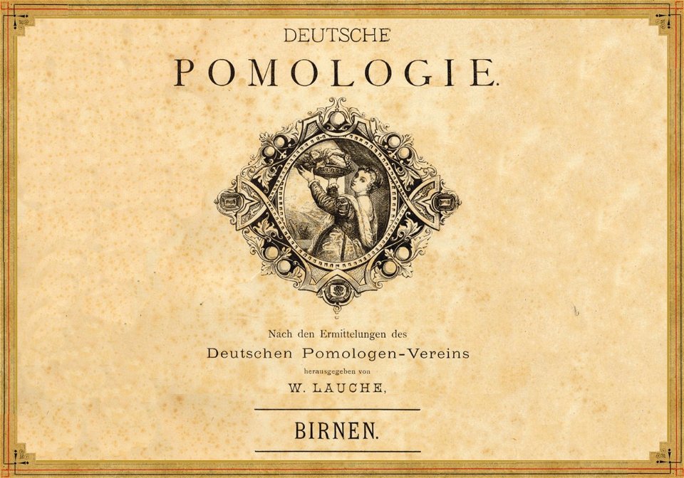 Deutsche Pomologie - Birnen - 000