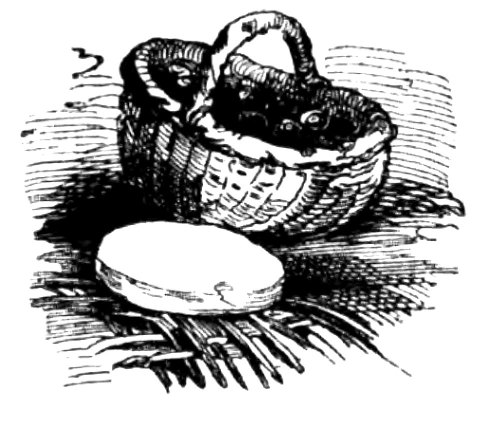 Don Chisciotte (Gamba-Ambrosoli) Vol.2-0484