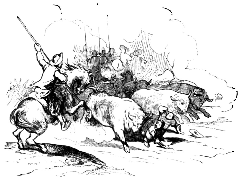 Don Chisciotte (Gamba-Ambrosoli) Vol.2-0534