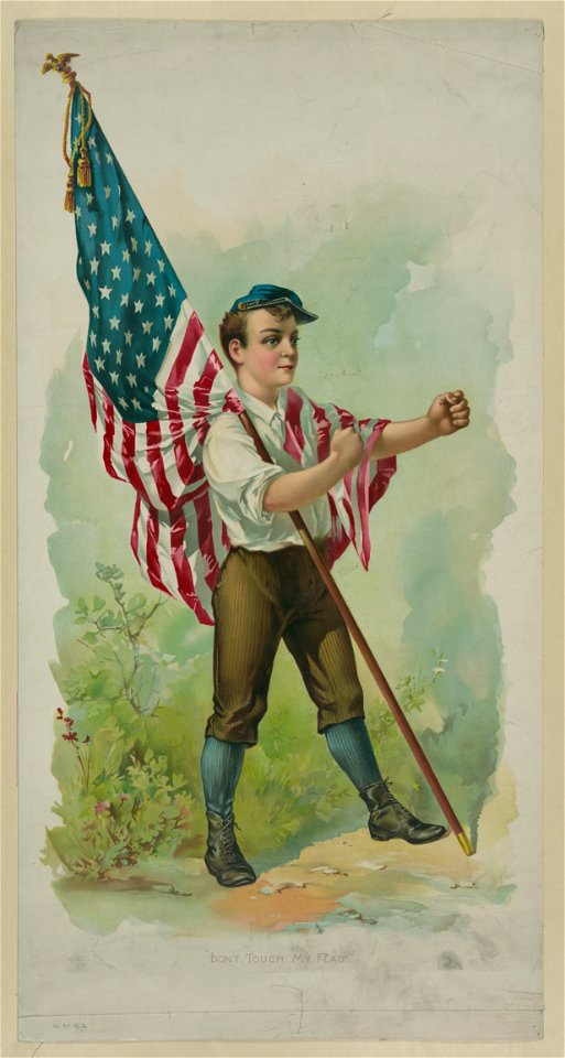 Don't touch my flag! LCCN95504969