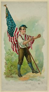 Don't touch my flag! LCCN95504969