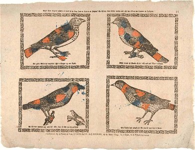 Deze vier vogels hebben al haar leven lang hooren fluyten en zingen - En blyven even dom - weten niet als van d'een na d'ander te springen