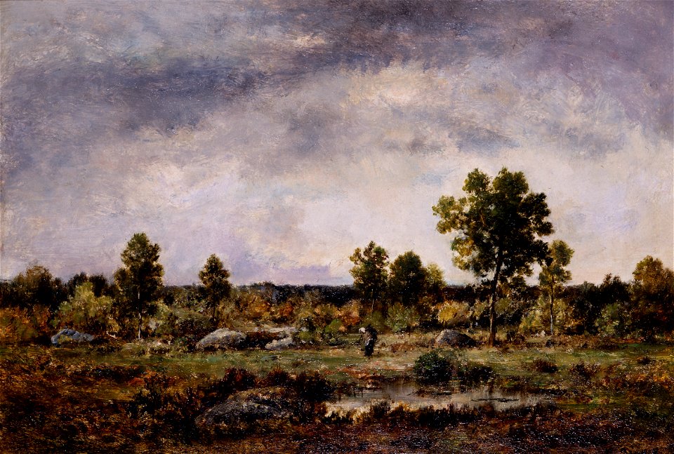 Narcisse-Virgile Diaz de la Peña - Clearing in the Forest - 41-1974 - Saint Louis Art Museum