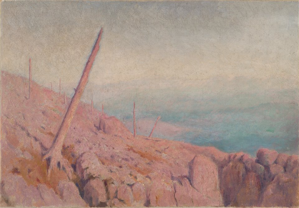 Dezider Czölder - Windthrow - O 5540 - Slovak National Gallery