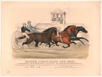 Dexter, Ethan Allen and mate- In their wonderful race, over the fashion course, L.I. June 21st 1867. Match for $2,000 mile heats best 3 in 5 LCCN91795905. Free illustration for personal and commercial use.