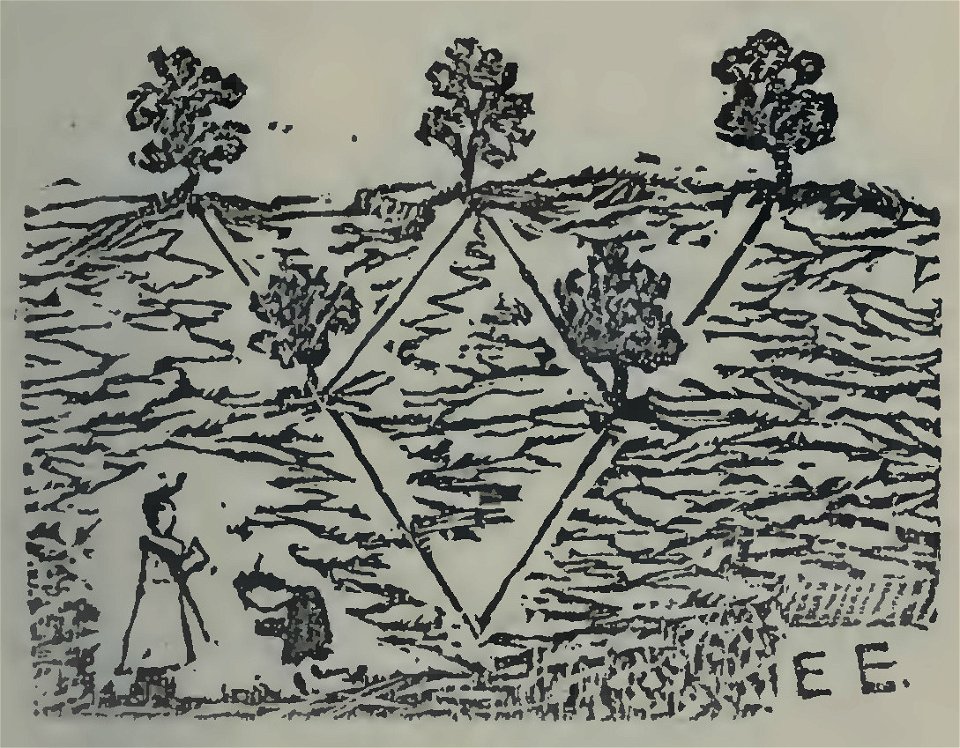 Dick - L'enfant mystérieux, Tome I, 1890 (page 145 crop)