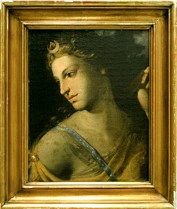 Diana - Nationalmuseum - 158052
