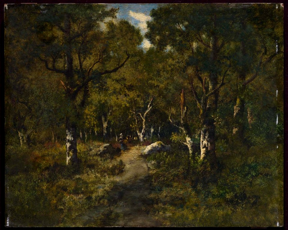 Narcisse Virgile Diaz de la Peña - Path through the Forest near Fontainebleau - 19.105 - Museum of Fine Arts