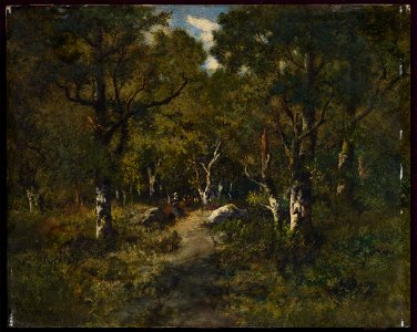Narcisse Virgile Diaz de la Peña - Path through the Forest near Fontainebleau - 19.105 - Museum of Fine Arts