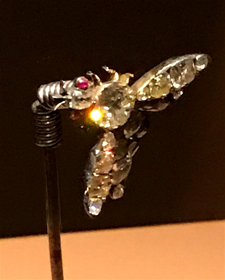 Diamond hairpin representing a bug